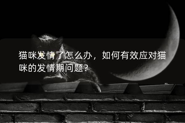 猫咪发情了怎么办，如何有效应对猫咪的发情期问题？