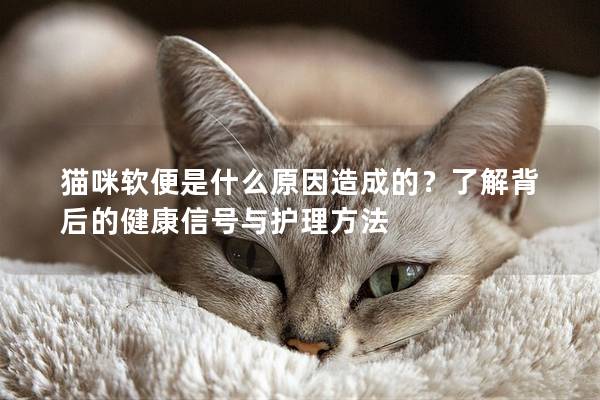 猫咪软便是什么原因造成的?了解背后的健康信号与护理方法 猫咪软便是什么原因造成的?了解背后的健康信号与护理方法