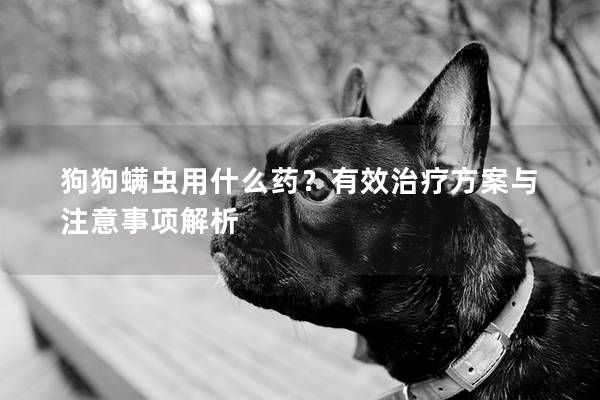 狗狗螨虫用什么药？有效治疗方案与注意事项解析
