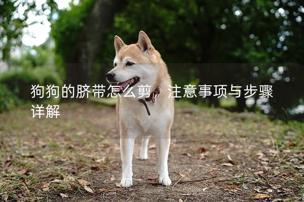 狗狗的脐带怎么剪，注意事项与步骤详解