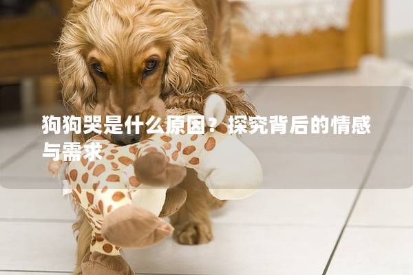 狗狗哭是什么原因？探究背后的情感与需求