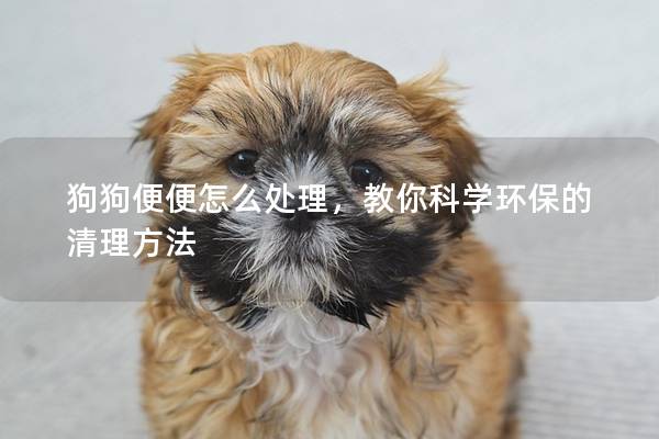 狗狗便便怎么处理，教你科学环保的清理方法