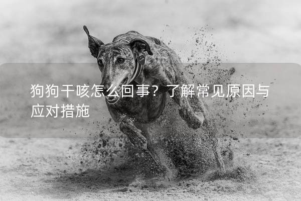 狗狗干咳怎么回事？了解常见原因与应对措施