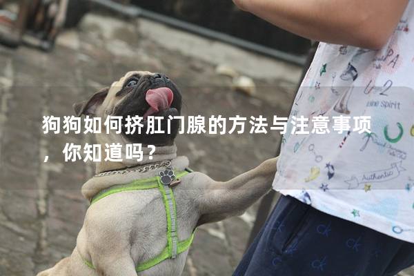 狗狗如何挤肛门腺的方法与注意事项，你知道吗？