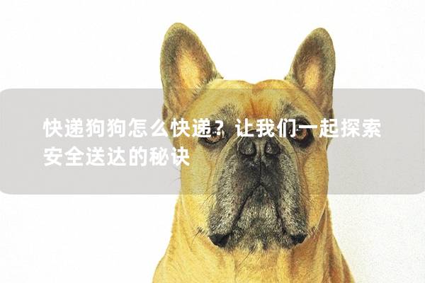 快递狗狗怎么快递？让我们一起探索安全送达的秘诀