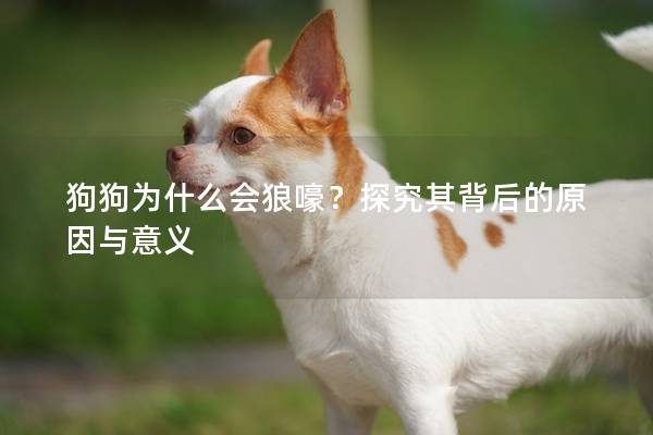 狗狗为什么会狼嚎？探究其背后的原因与意义