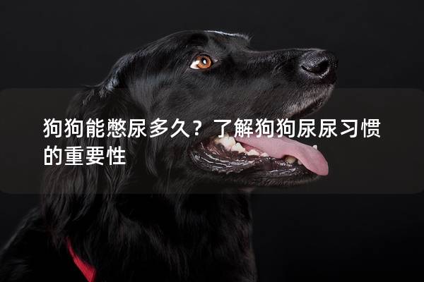 狗狗能憋尿多久？了解狗狗尿尿习惯的重要性