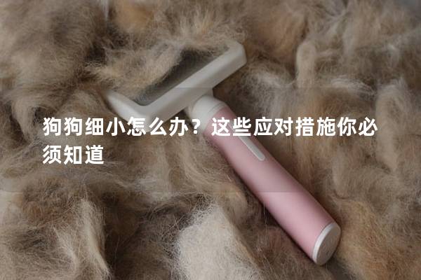 狗狗细小怎么办？这些应对措施你必须知道