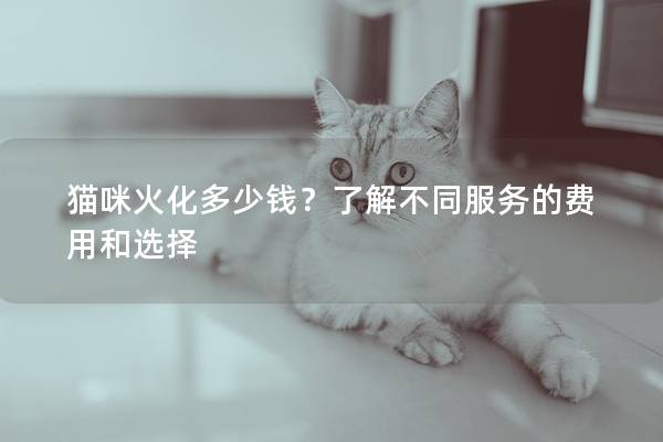 猫咪火化多少钱？了解不同服务的费用和选择