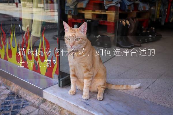 猫咪便秘吃什么药，如何选择合适的治疗方案？