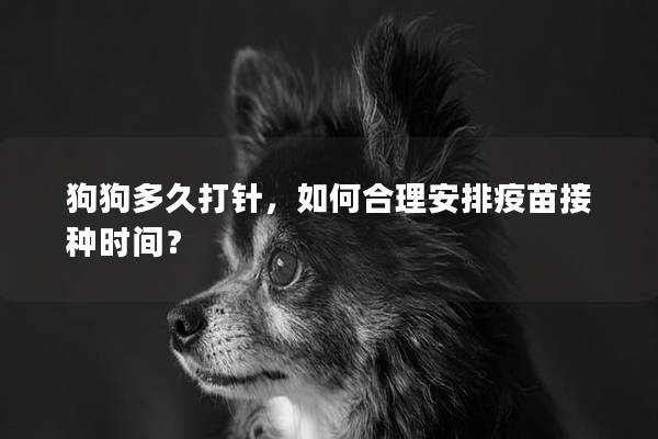 狗狗多久打针,如何合理安排疫苗接种时间? 狗狗多久打针,如何合理安排疫苗接种时间?