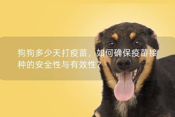 狗狗多少天打疫苗，如何确保疫苗接种的安全性与有效性？