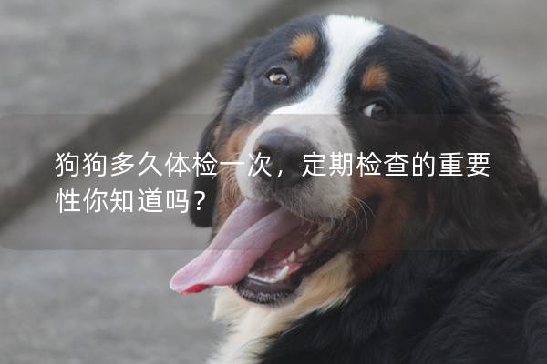 狗狗多久体检一次，定期检查的重要性你知道吗？