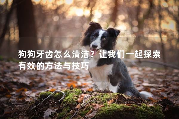 狗狗牙齿怎么清洁？让我们一起探索有效的方法与技巧