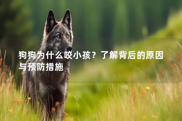 狗狗为什么咬小孩？了解背后的原因与预防措施