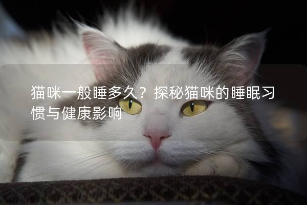 猫咪一般睡多久？探秘猫咪的睡眠习惯与健康影响