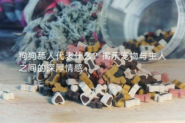 狗狗舔人代表什么？揭示宠物与主人之间的深厚情感