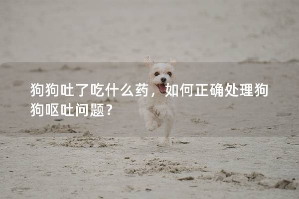 狗狗吐了吃什么药，如何正确处理狗狗呕吐问题？