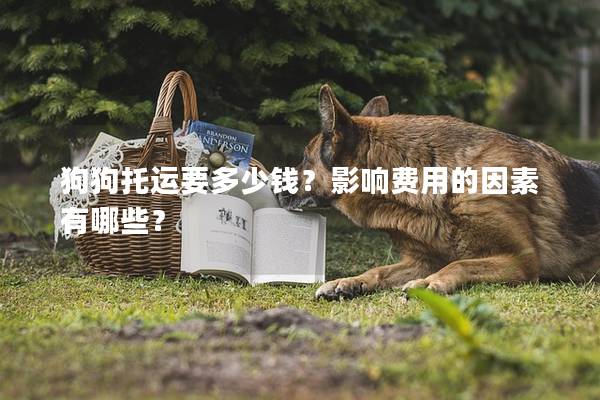 狗狗托运要多少钱？影响费用的因素有哪些？