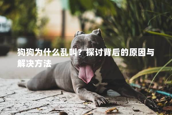 狗狗为什么乱叫？探讨背后的原因与解决方法