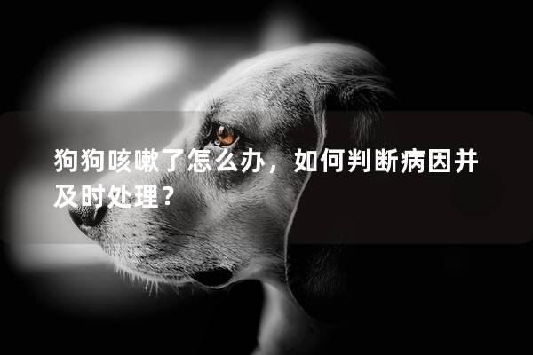 狗狗咳嗽了怎么办，如何判断病因并及时处理？