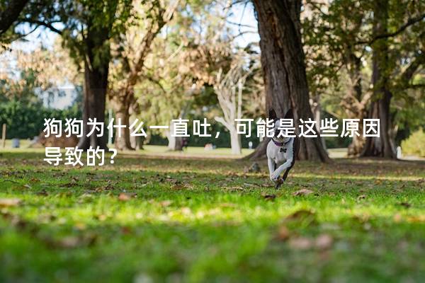 狗狗为什么一直吐，可能是这些原因导致的？