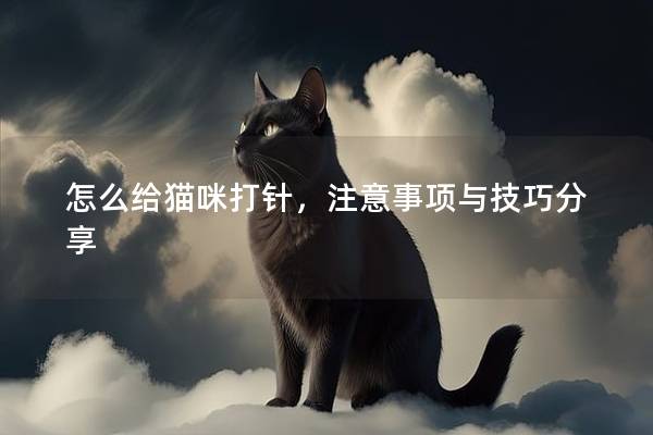 怎么给猫咪打针，注意事项与技巧分享