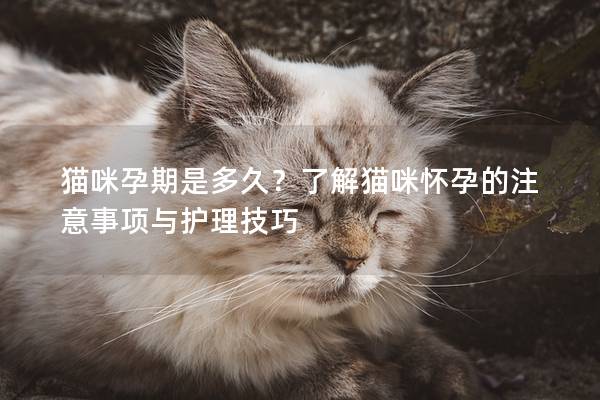 猫咪孕期是多久？了解猫咪怀孕的注意事项与护理技巧
