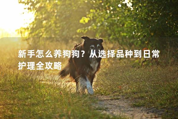 新手怎么养狗狗？从选择品种到日常护理全攻略