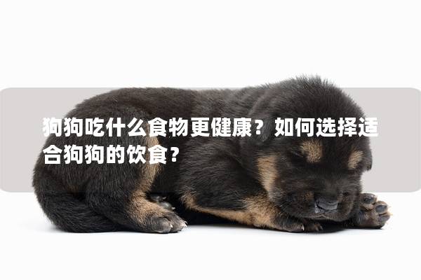 狗狗吃什么食物更健康?如何选择适合狗狗的饮食? 狗狗吃什么食物更健康?如何选择适合狗狗的饮食?