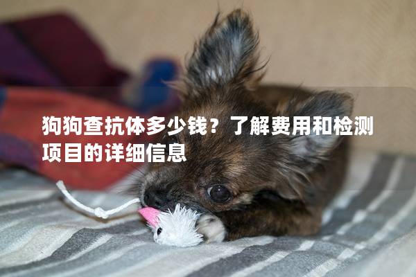 狗狗查抗体多少钱？了解费用和检测项目的详细信息