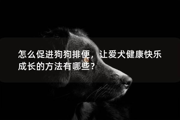 怎么促进狗狗排便，让爱犬健康快乐成长的方法有哪些？