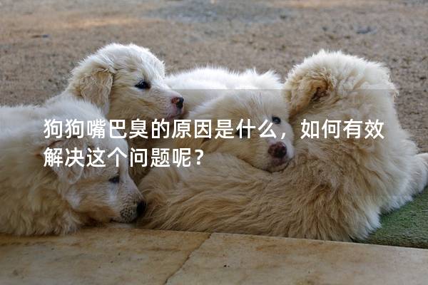 狗狗嘴巴臭的原因是什么，如何有效解决这个问题呢？