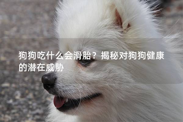 狗狗吃什么会滑胎？揭秘对狗狗健康的潜在威胁