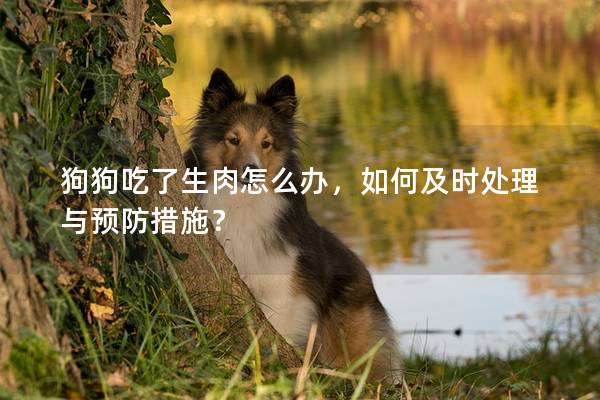 狗狗吃了生肉怎么办，如何及时处理与预防措施？