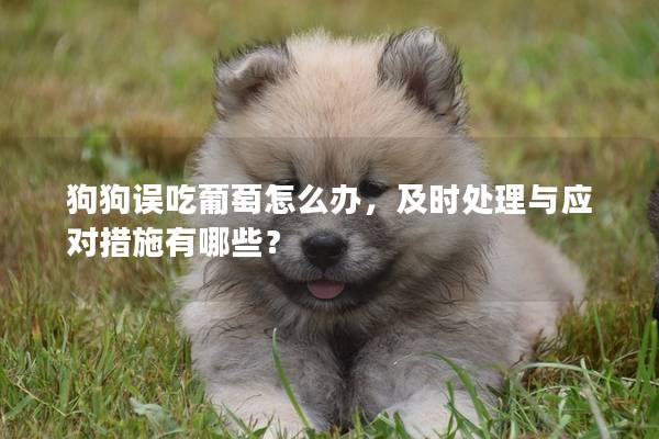 狗狗误吃葡萄怎么办,及时处理与应对措施有哪些? 狗狗误吃葡萄怎么办,及时处理与应对措施有哪些?