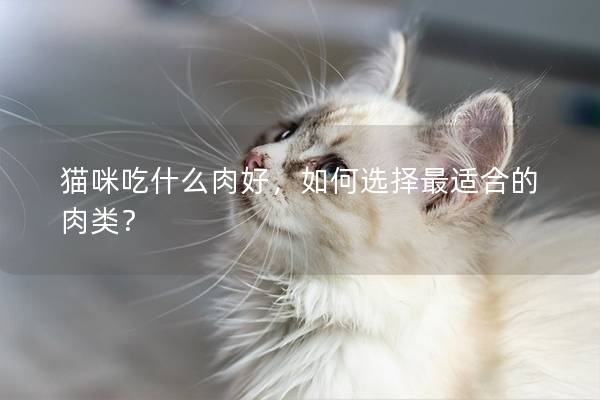 猫咪吃什么肉好，如何选择最适合的肉类？
