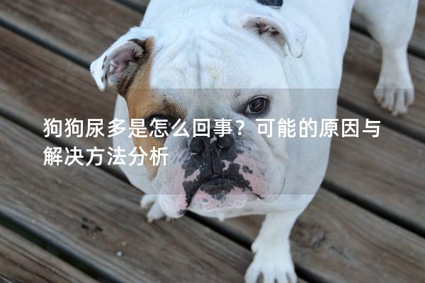狗狗尿多是怎么回事？可能的原因与解决方法分析