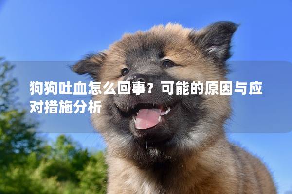狗狗吐血怎么回事？可能的原因与应对措施分析