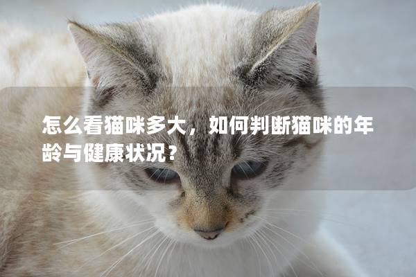 怎么看猫咪多大，如何判断猫咪的年龄与健康状况？