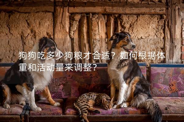狗狗吃多少狗粮才合适？如何根据体重和活动量来调整？