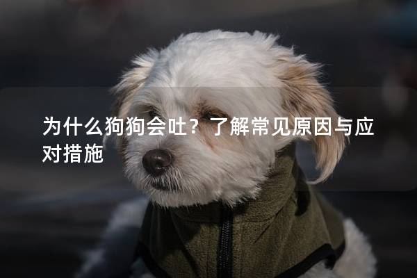 为什么狗狗会吐？了解常见原因与应对措施