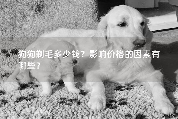 狗狗剃毛多少钱？影响价格的因素有哪些？