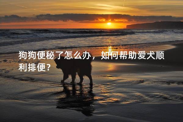 狗狗便秘了怎么办，如何帮助爱犬顺利排便？