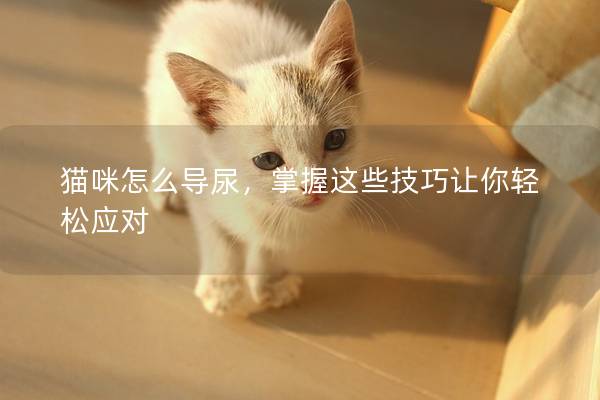 猫咪怎么导尿，掌握这些技巧让你轻松应对