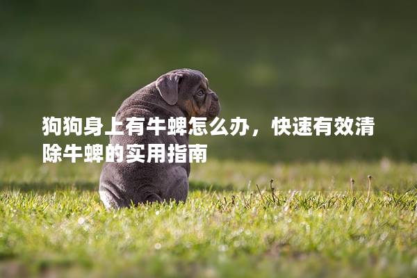 狗狗身上有牛蜱怎么办，快速有效清除牛蜱的实用指南