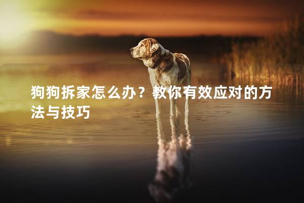 狗狗拆家怎么办？教你有效应对的方法与技巧