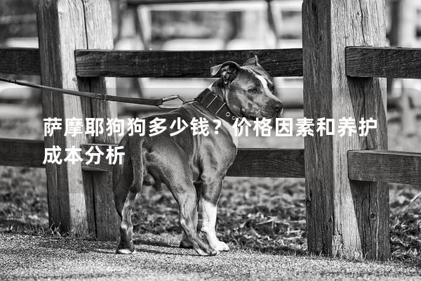 萨摩耶狗狗多少钱？价格因素和养护成本分析