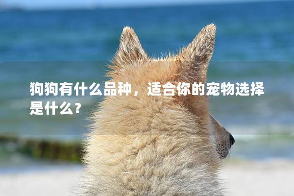 狗狗有什么品种，适合你的宠物选择是什么？