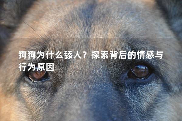 狗狗为什么舔人？探索背后的情感与行为原因